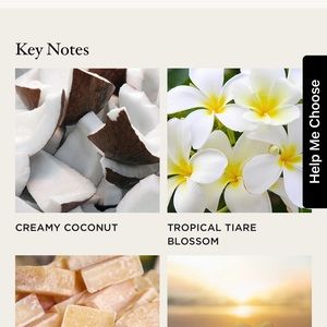 Nest Balinese Coconut perfume oil
